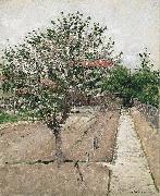 Apple Tree in Bloom Gustave Caillebotte